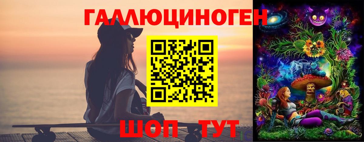 Боровичи  хочу   Вход с VPN  Галлюциногенные грибы Psilocybe 